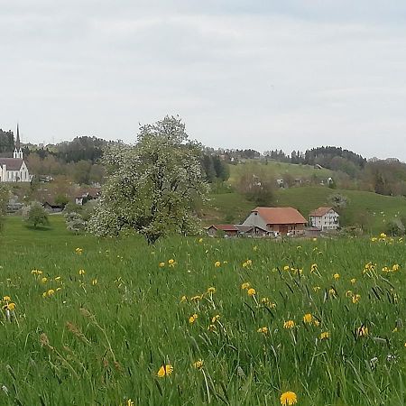 Billenberghof Apartment Санкт Гален Екстериор снимка